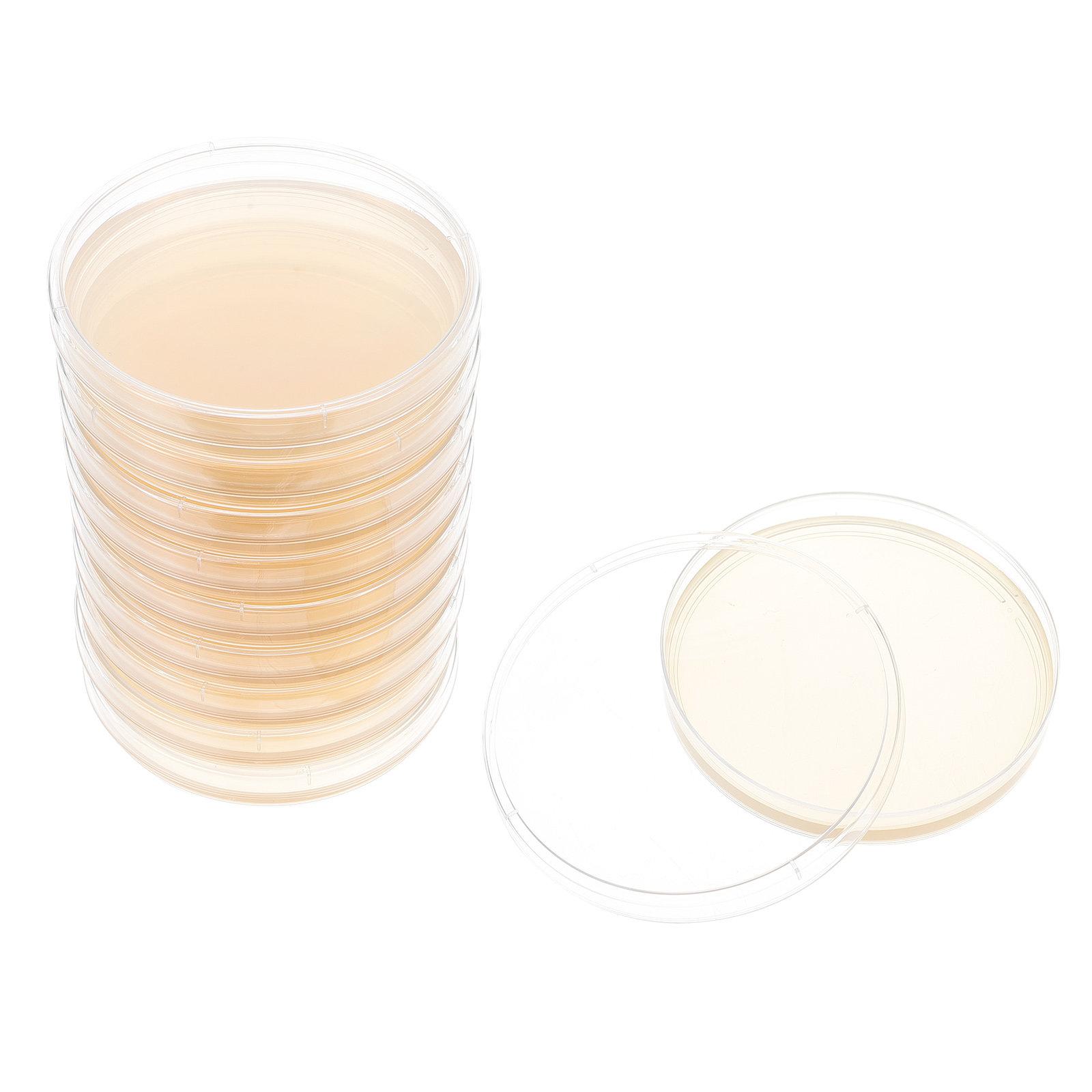 Science Project - 10pcs Nutrient Agar Plates Pre-Poured Petri