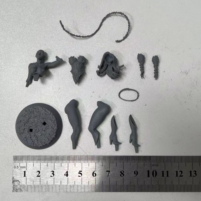 1/24 Scale Forest Queen Scienc - Science Hobby Kit recension och pris
