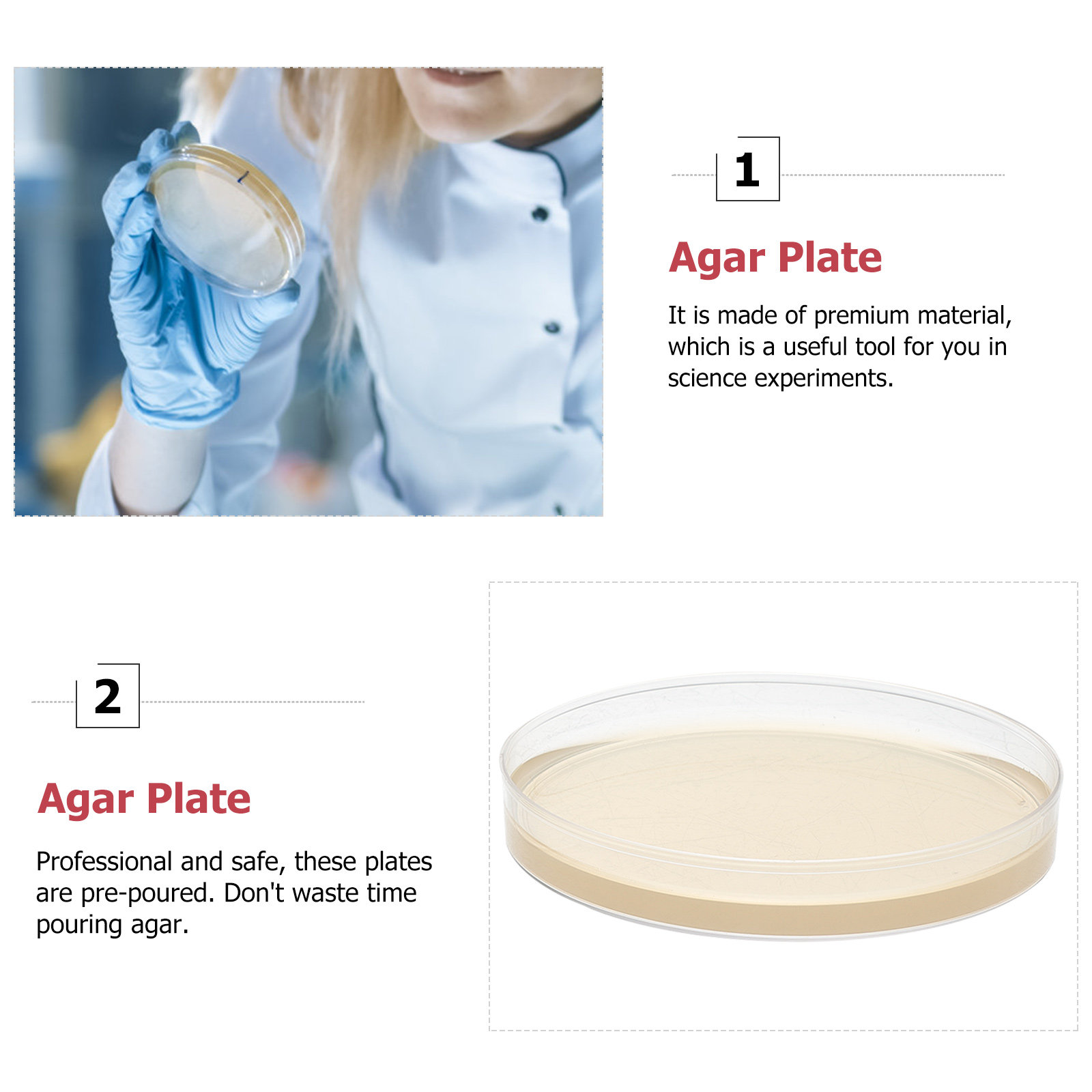 10pcs Nutrient Agar Plates Pre - Science Project recension och pris