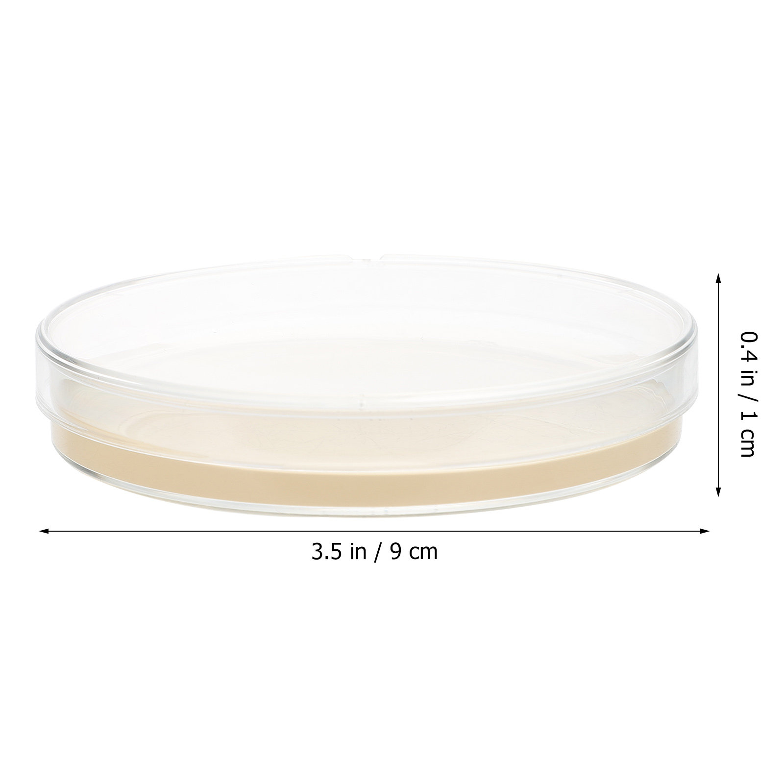 10pcs Nutrient Agar Plates Pre - Science Project recension och pris