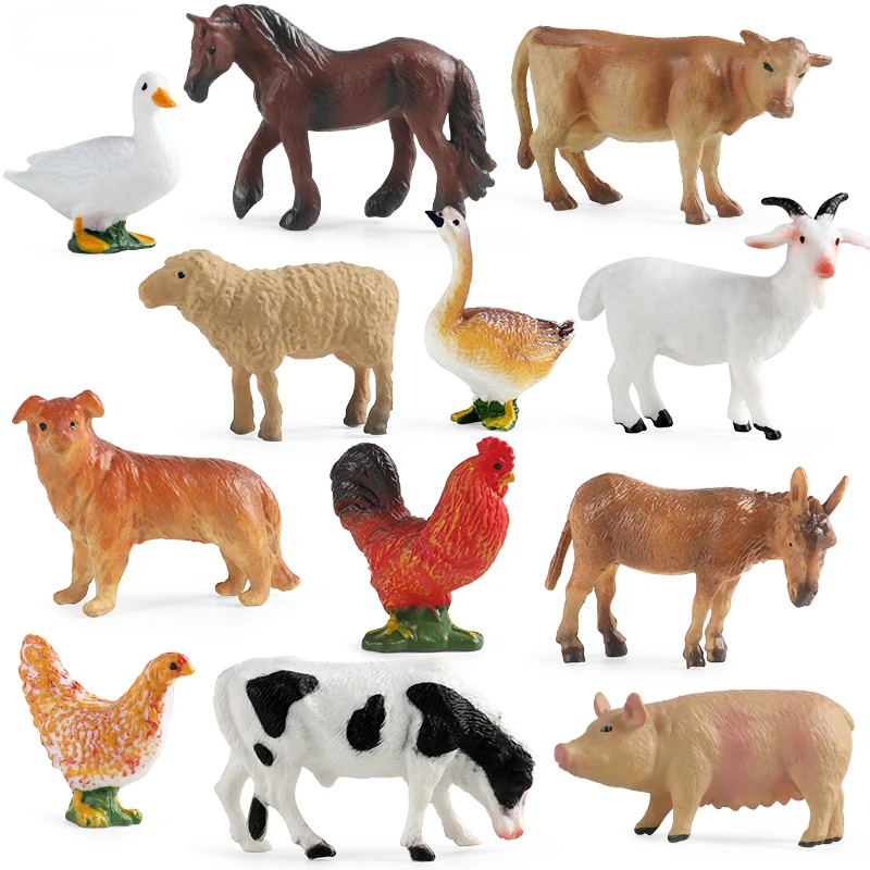 Education Teaching Tool Poultr - Science Toys recension och pris